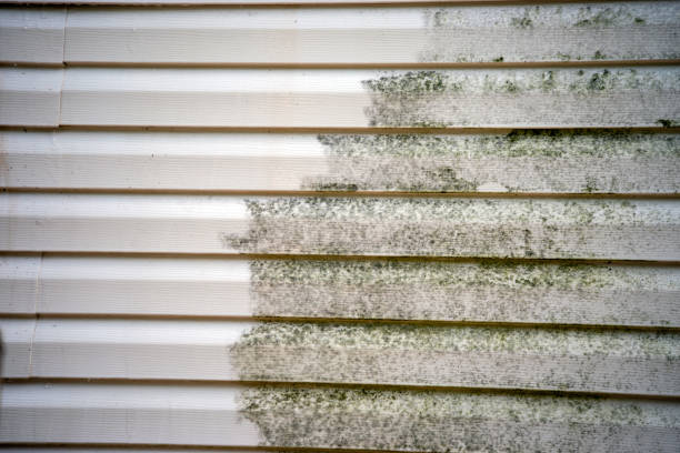 Demolition Debris Removal in Madison, MS